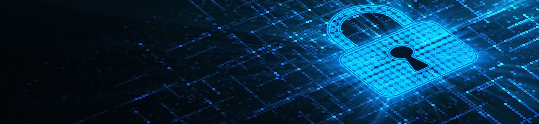 Kişisel Verilerin Korunması